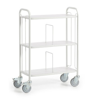 Bürowagen mit Trenngittern